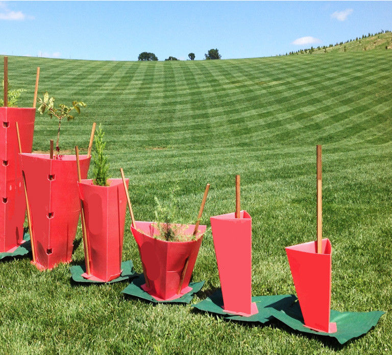 Red 100% PE Corflute Plastic Tree Guards UV Resistant 2mm-12mm