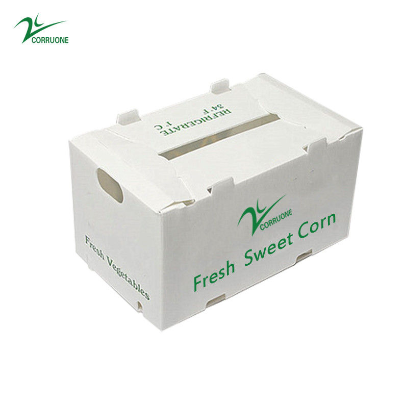 Chemical Resistant Coroplast Printing Box For Industrial And Sweet Corn Box