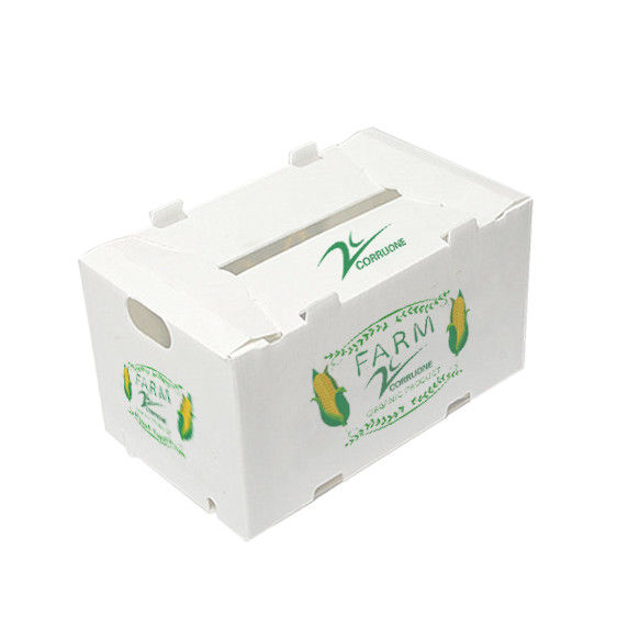 Chemical Resistant Coroplast Printing Box For Industrial And Sweet Corn Box