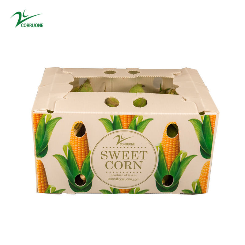 pp plastic storage box PP Corrugated Plastic Box for Vegetable ,Fruit and Agriculture Packing box