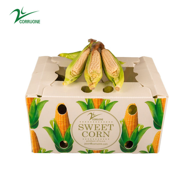 Foldable  Hot Selling Product Eco Friendly Durable Protective Sheet Plastic vegetable and fruit box
