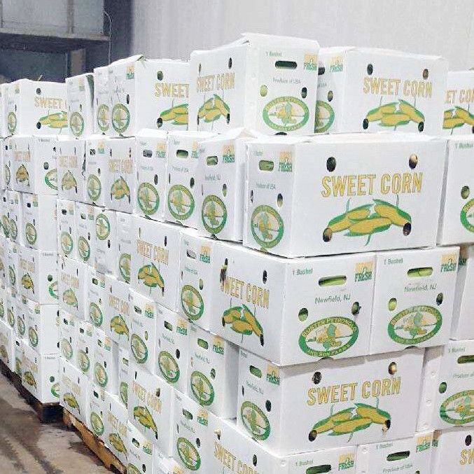 Foldable  Hot Selling Product Eco Friendly Durable Protective Sheet Plastic vegetable and fruit box