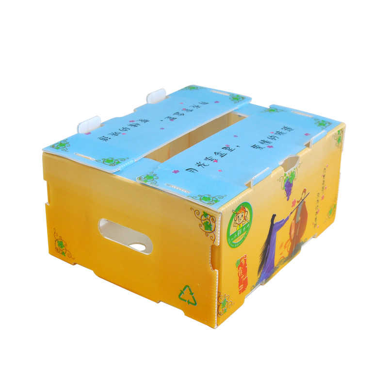 Correx Corn Vegetable Corrugated Boxes Corrugated Plastic Shipping Boxes