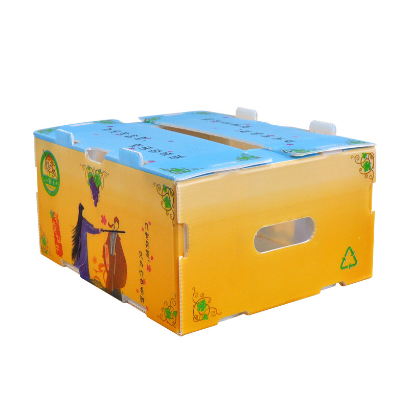 Correx Corn Vegetable Corrugated Boxes Corrugated Plastic Shipping Boxes