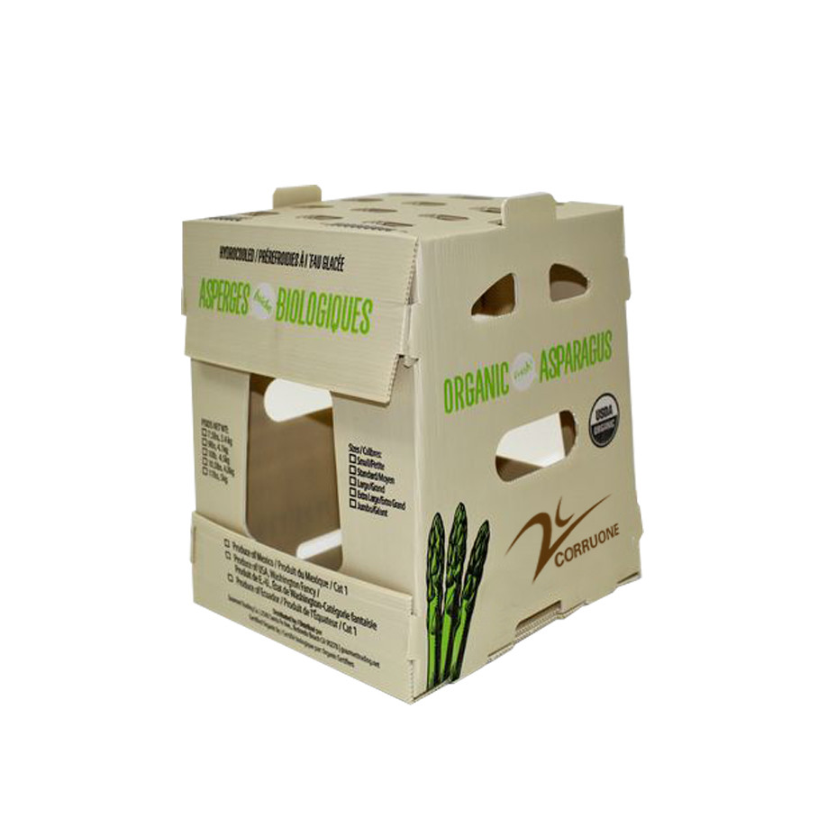 Reusable PP Corrugated Sheet Box Black White